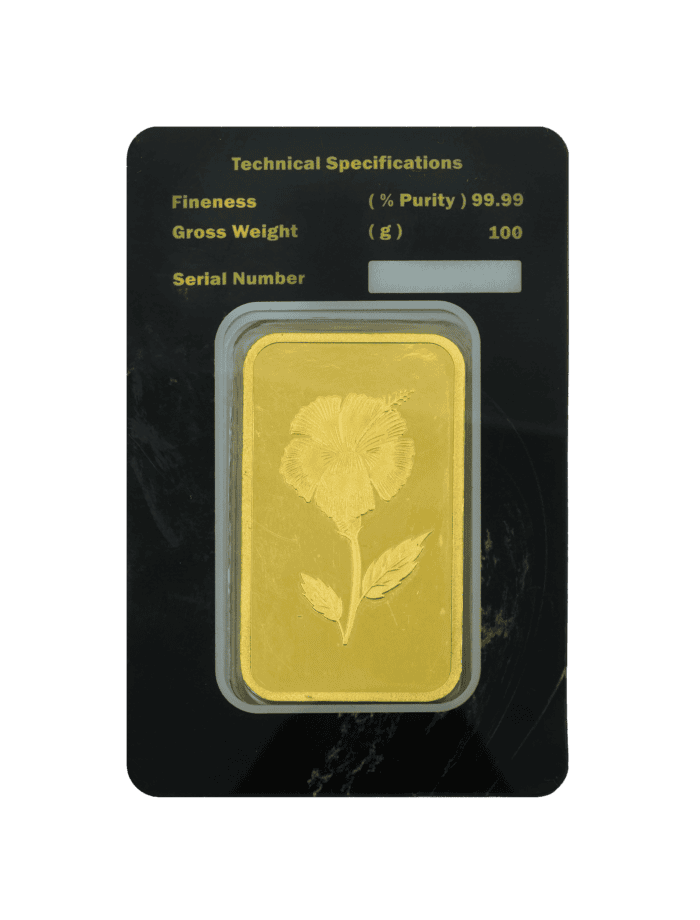 100-gram gold bar back view